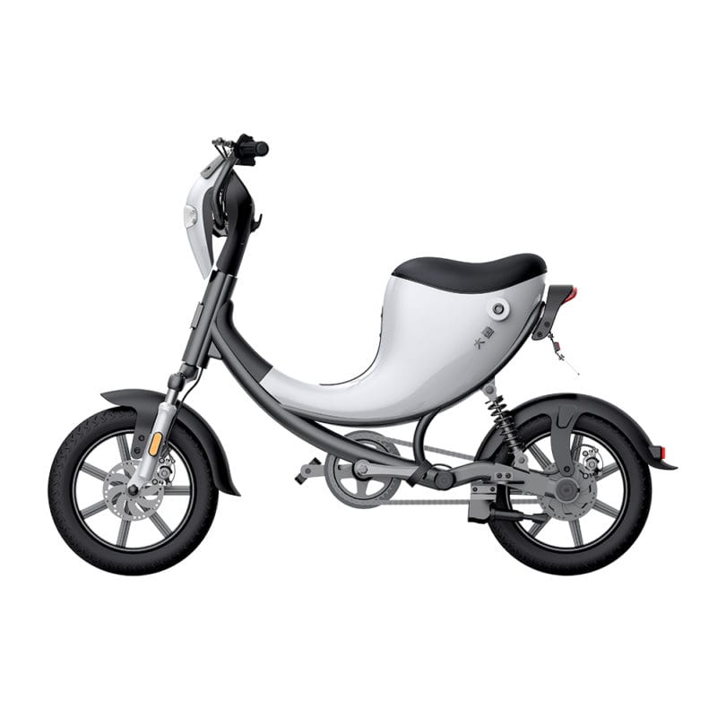 DYU L1