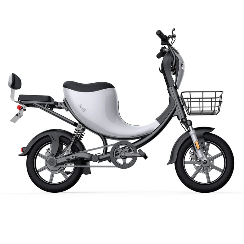DYU L1