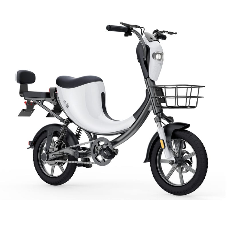 DYU L1