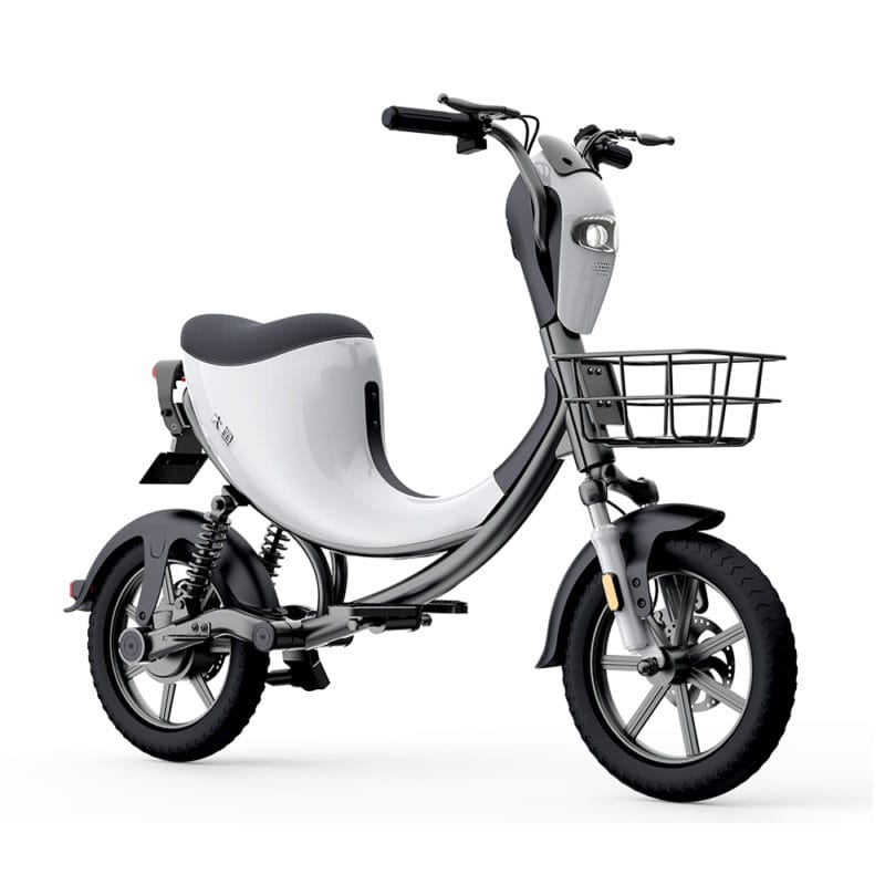 DYU L1